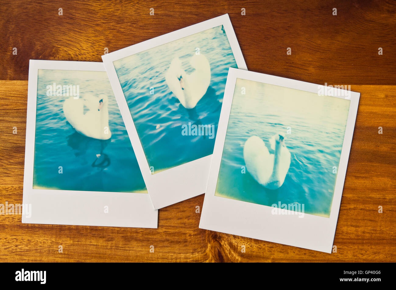 Polaroid-Fotos Stockfoto