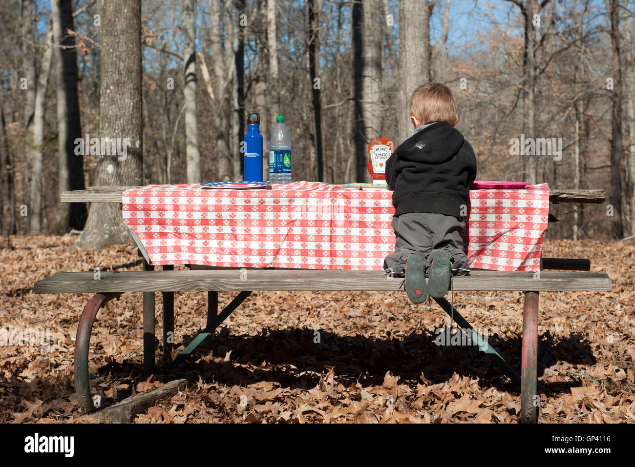 Junge sitzt an Picknick-Tisch, Rückansicht Stockfoto