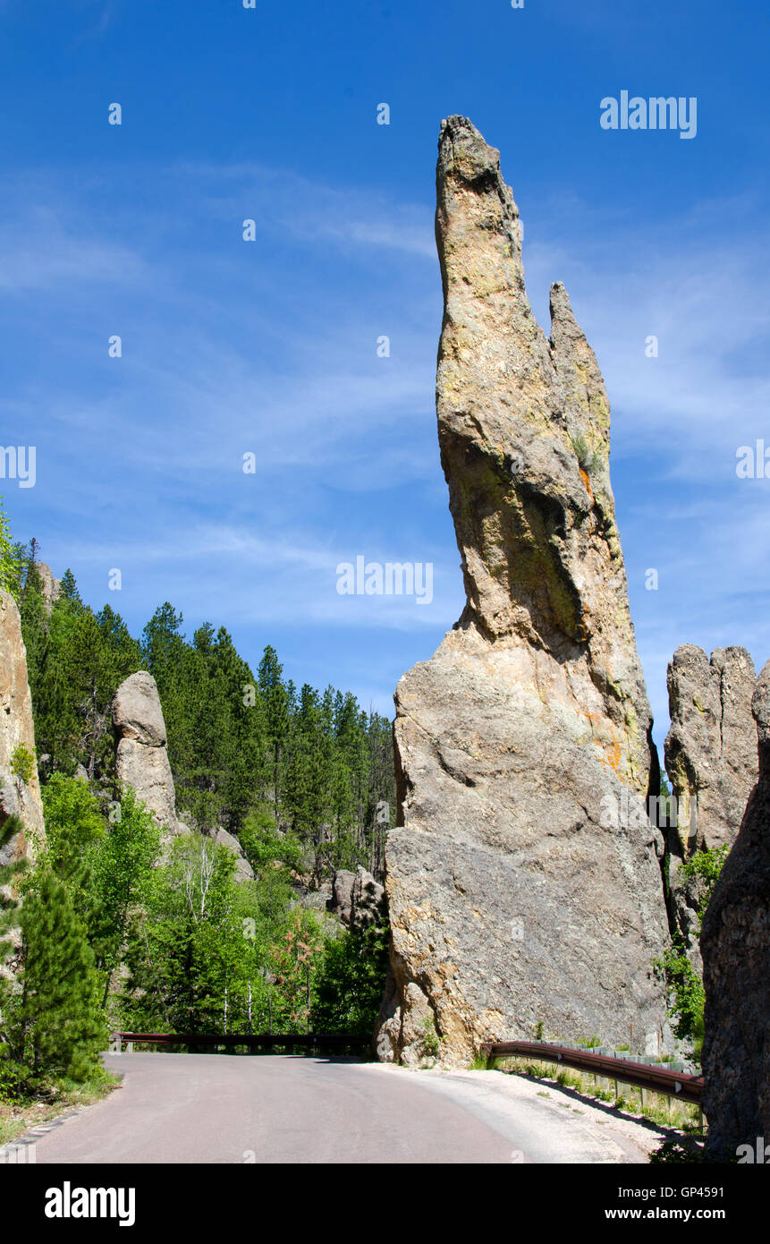 Custer State Park, Black Hills, South Dakota, USA Stockfoto