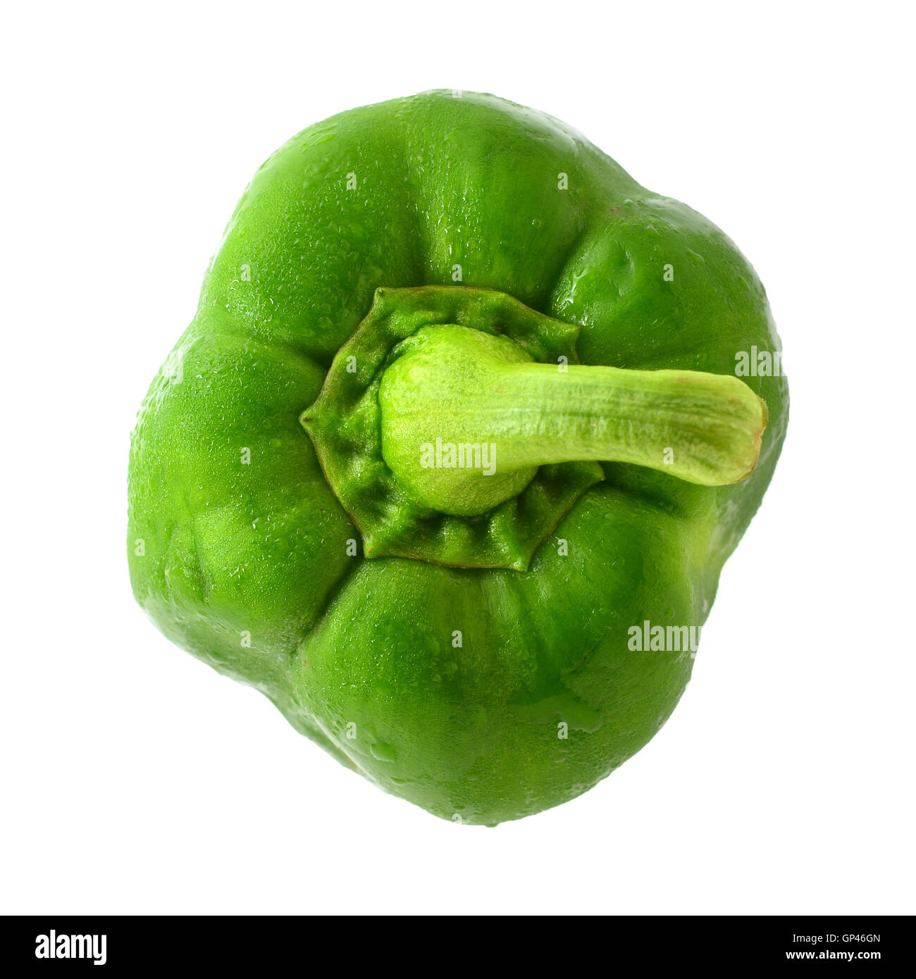 Grüner Pfeffer Stockfoto