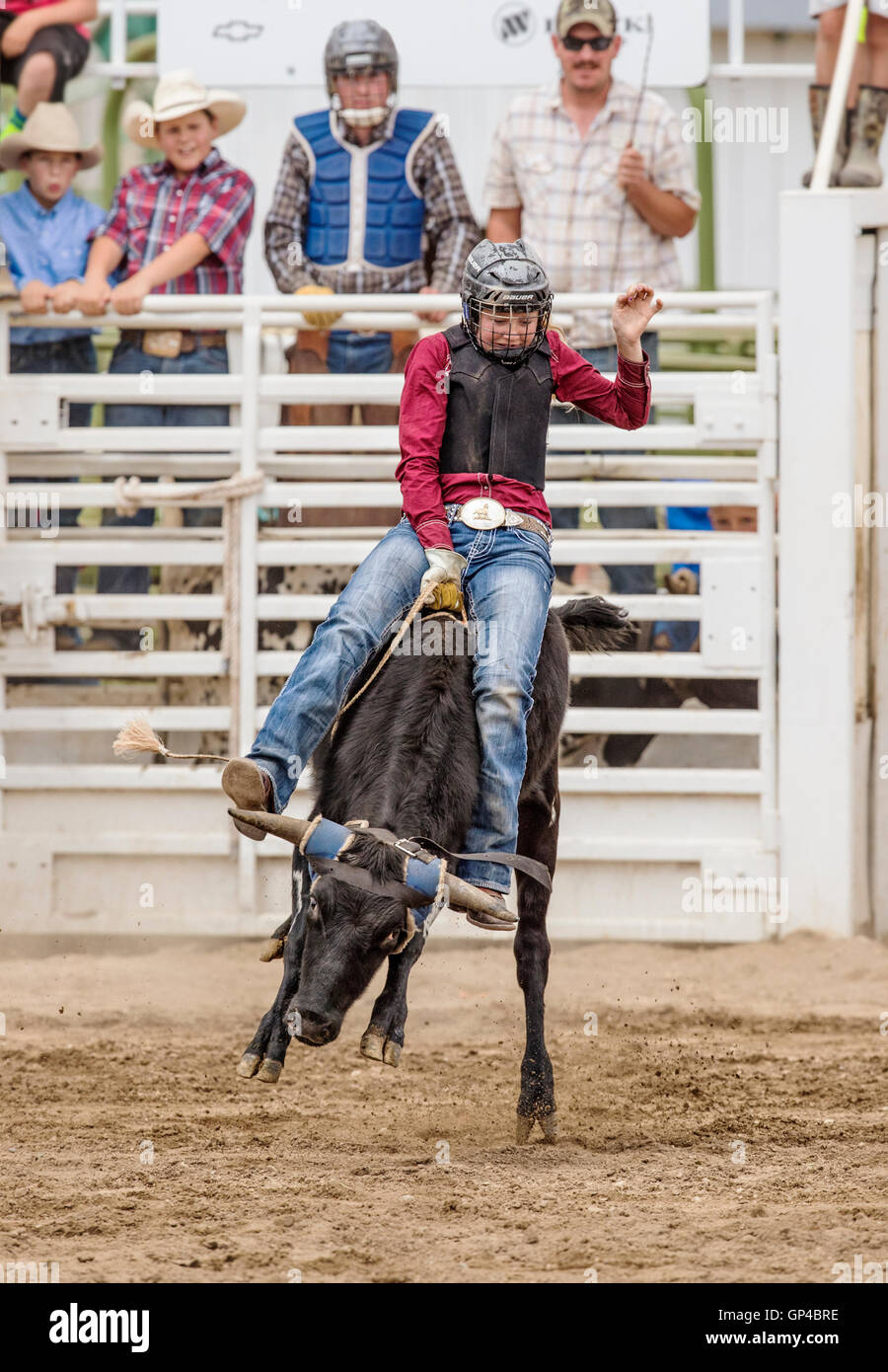 Junge Cowgirl Reiten ein kleiner Elefant im Junior Steuern Reiten Wettbewerb, Chaffee County Fair & Rodeo, Salida, Colorado, USA Stockfoto