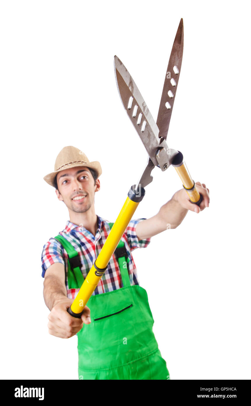 Mann Gärtner mit der Schere auf weiß Stockfotografie Alamy