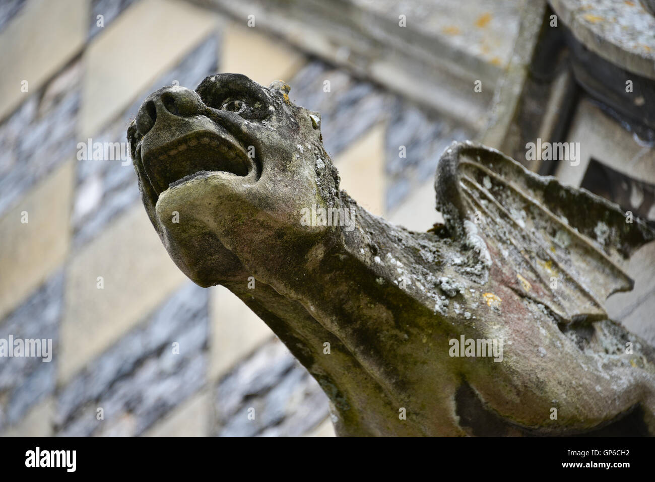 Wasserspeier an der Eglise St Martin - Ville Haute - St Valéry Sur Somme (Somme) Stockfoto