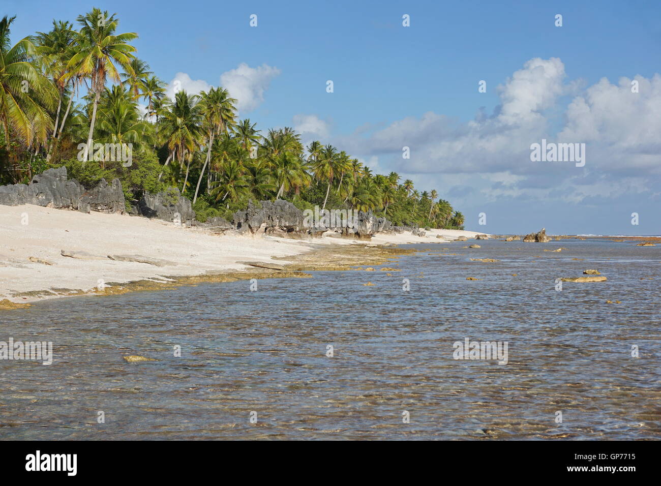 Tropische Küste mit Steinen auf den Strand und Kokosnuss Bäumen, Tikehau, Tuamotu-Archipel, Französisch-Polynesien, Pazifik Stockfoto