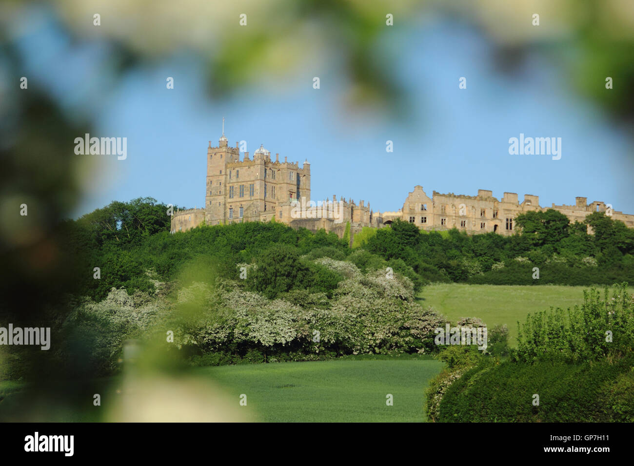 Bolsover Castle, Derbyshire, UK an einem warmen Sommertag durch Baum Blüte gesehen Stockfoto