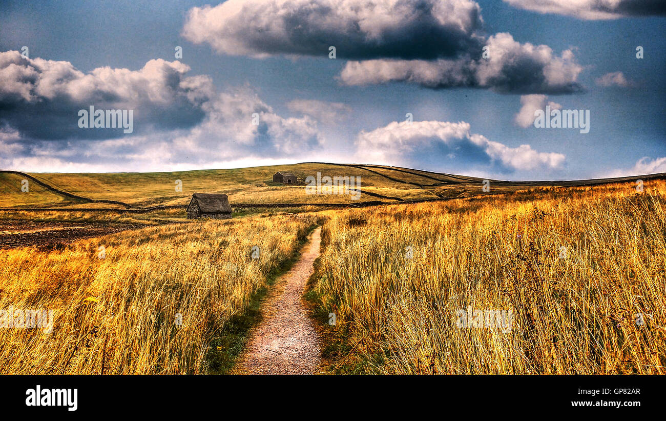 verträumte Landschaft mit alten Haus und Straße durch die Felder Stockfoto