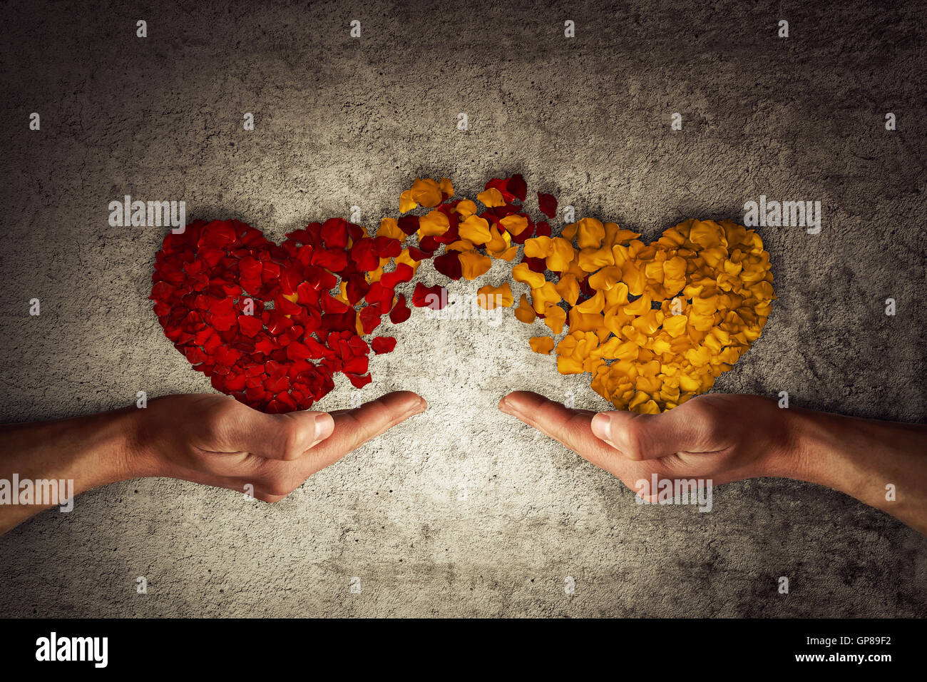 Zwei menschliche Hände halten Rosenblatt Herzen auf konkreten Hintergrund. Romantische Beziehung Konzept. Symbol der Verbundenheit und Liebe, giv Stockfoto