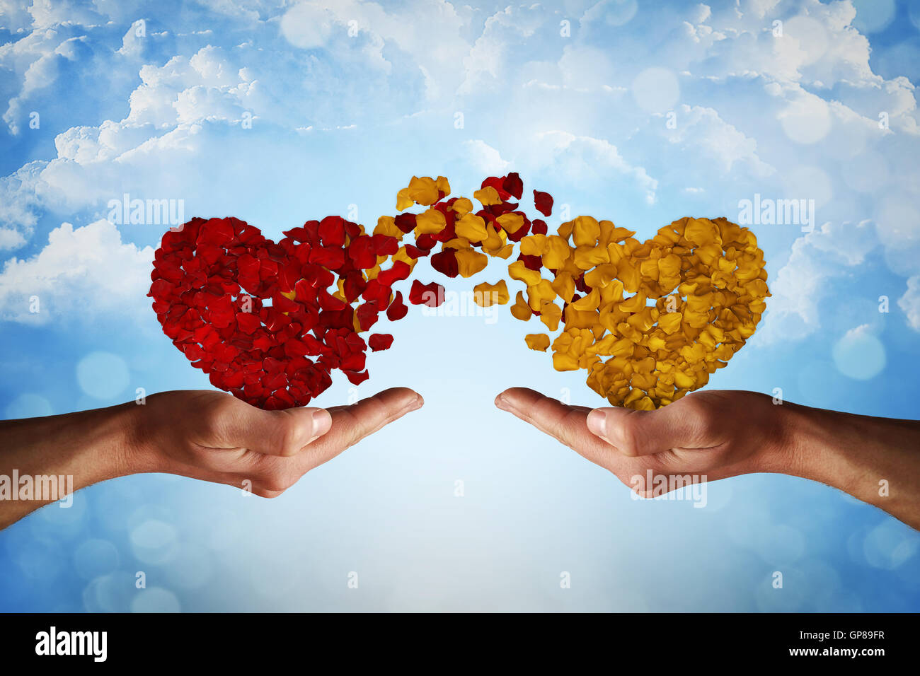 Zwei Hände halten Rosenblatt Herzen. Romantische Beziehung Konzept. Symbol der Verbundenheit und Liebe, geben und Austausch von Gefühlen Stockfoto