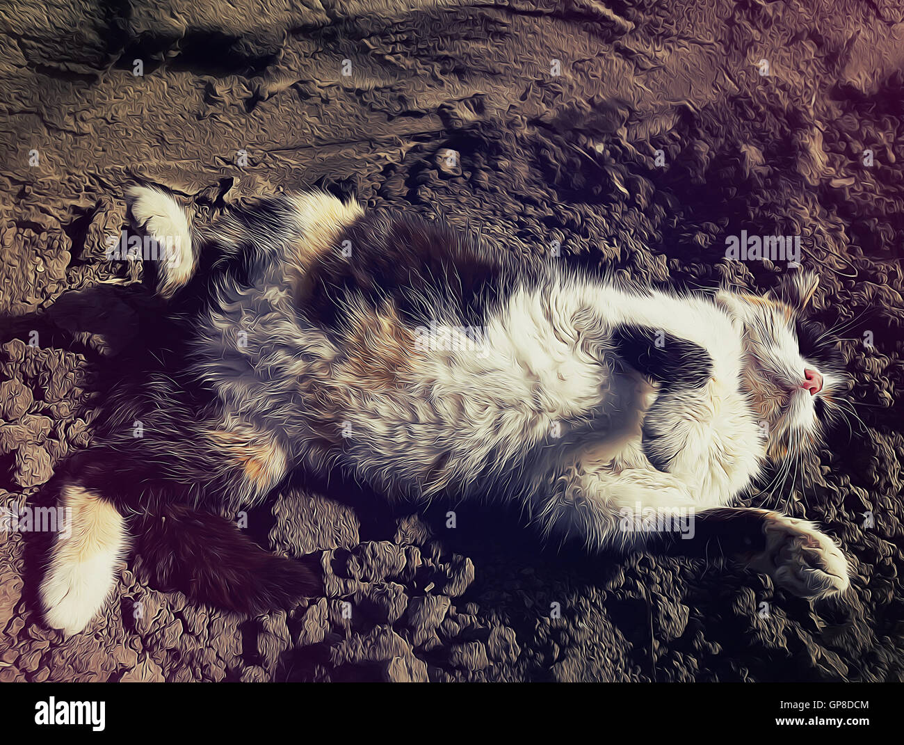 Abbildung einer spielerischen heimischen Land Katze mit gebogenen Pfoten auf dem Boden liegend Stockfoto