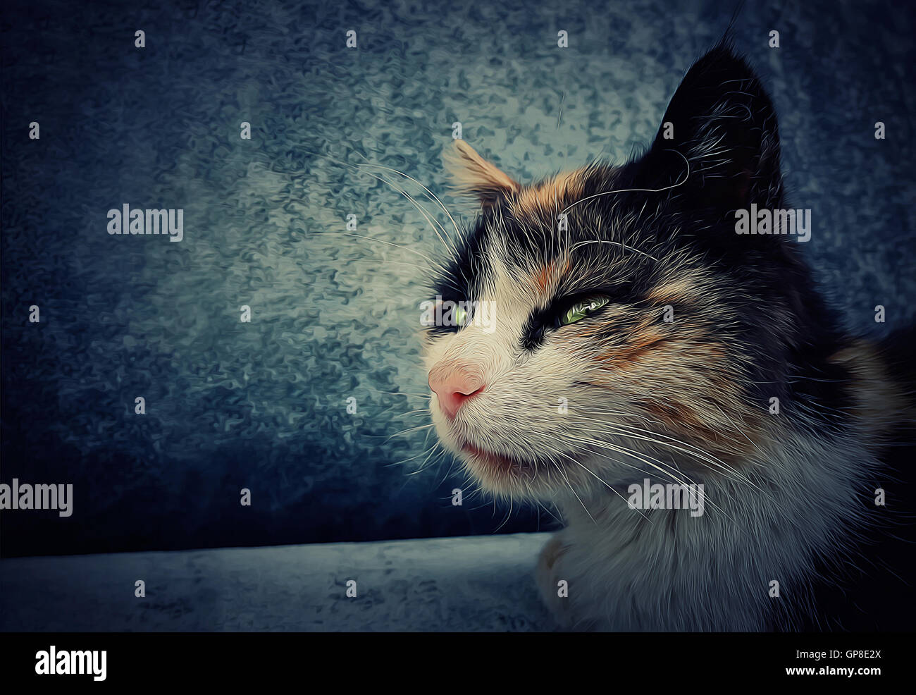 Porträt-Abbildung einer Verlegung Katze freut sich Stockfoto