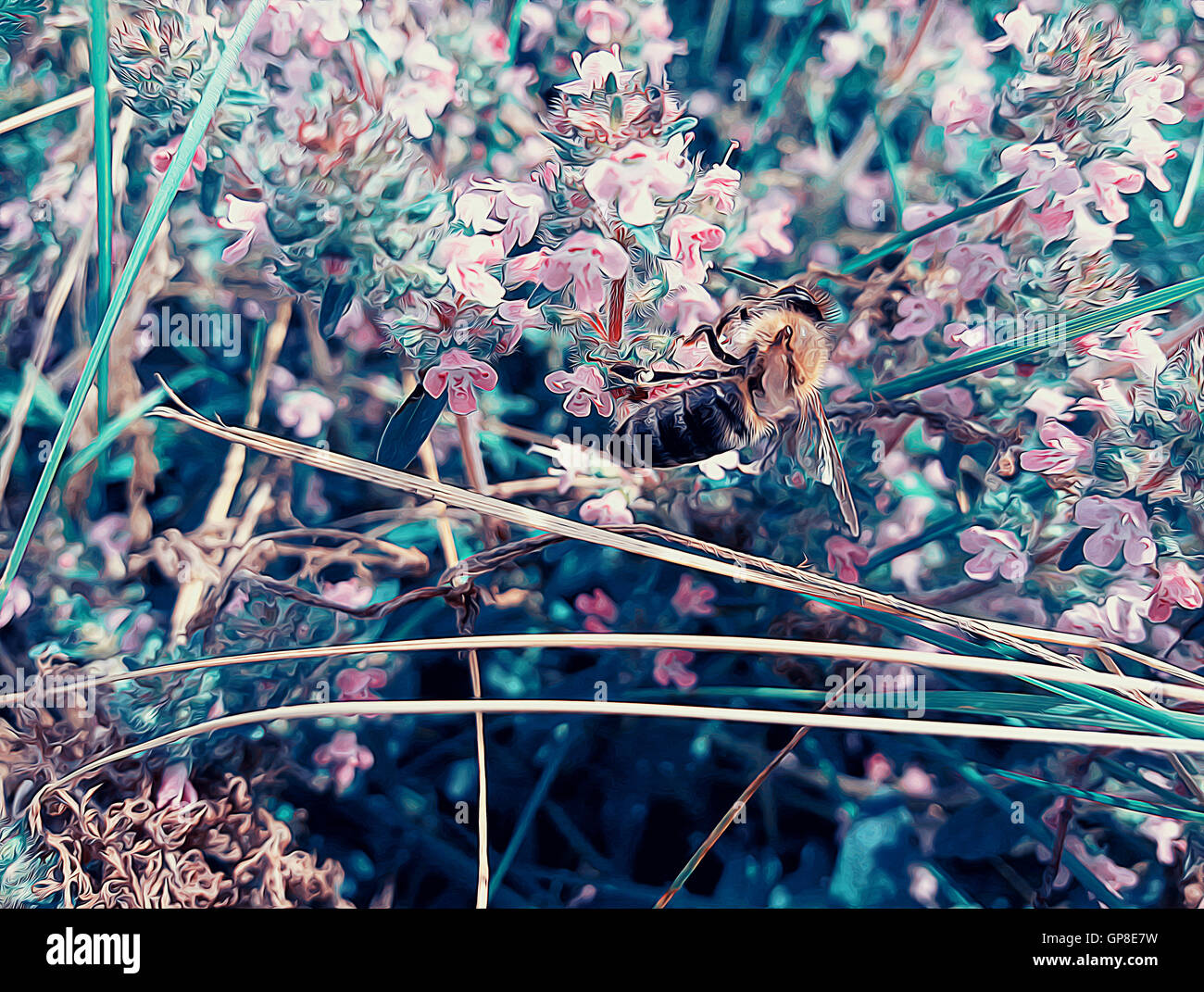 Abbildung einer Biene sammelt Nektar aus den Blüten im sonnigen Frühlingstag Stockfoto