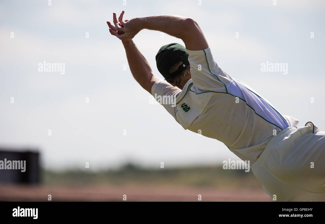 Cricket-Spieler macht spektakuläre Fang Stockfoto