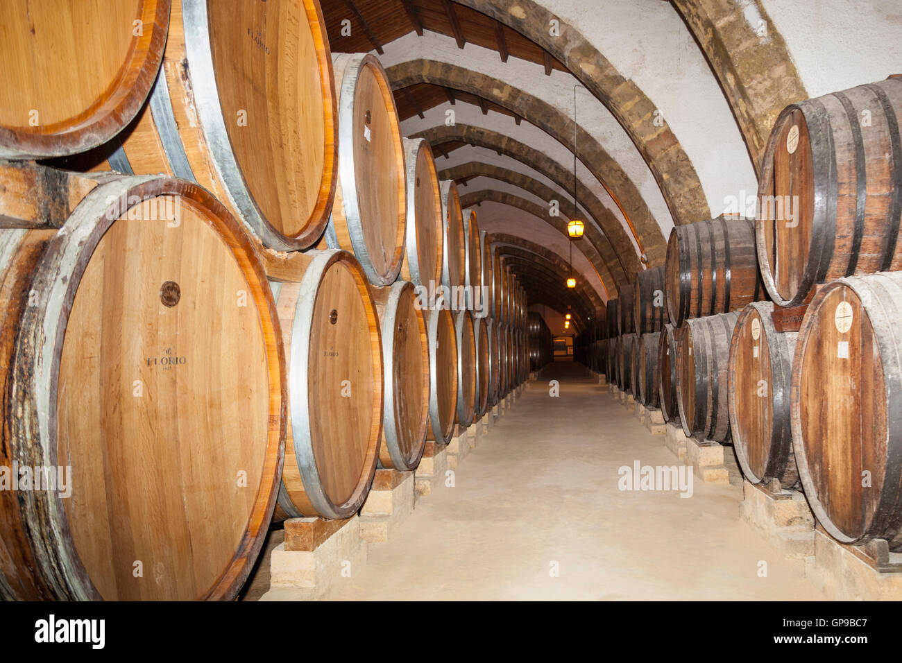 Weinfässer, Florio Kellerei Cantine Florio, Marsala, Sizilien, Italien Stockfoto