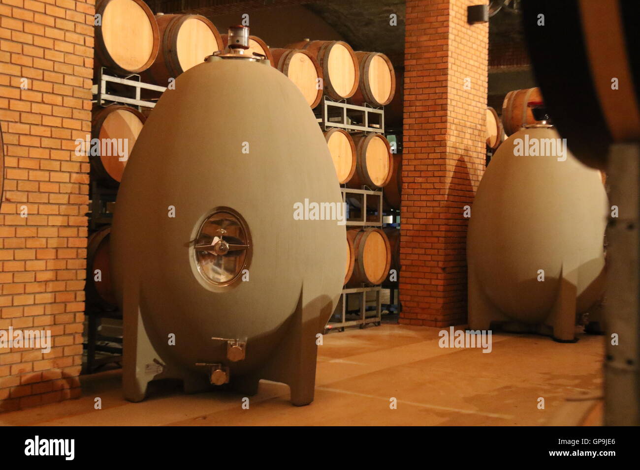 Gärtanks in Ei-Format auf dem Weingut Koyle Family Vineyards, Los Lingues, Alto Colchagua, Chile Stockfoto