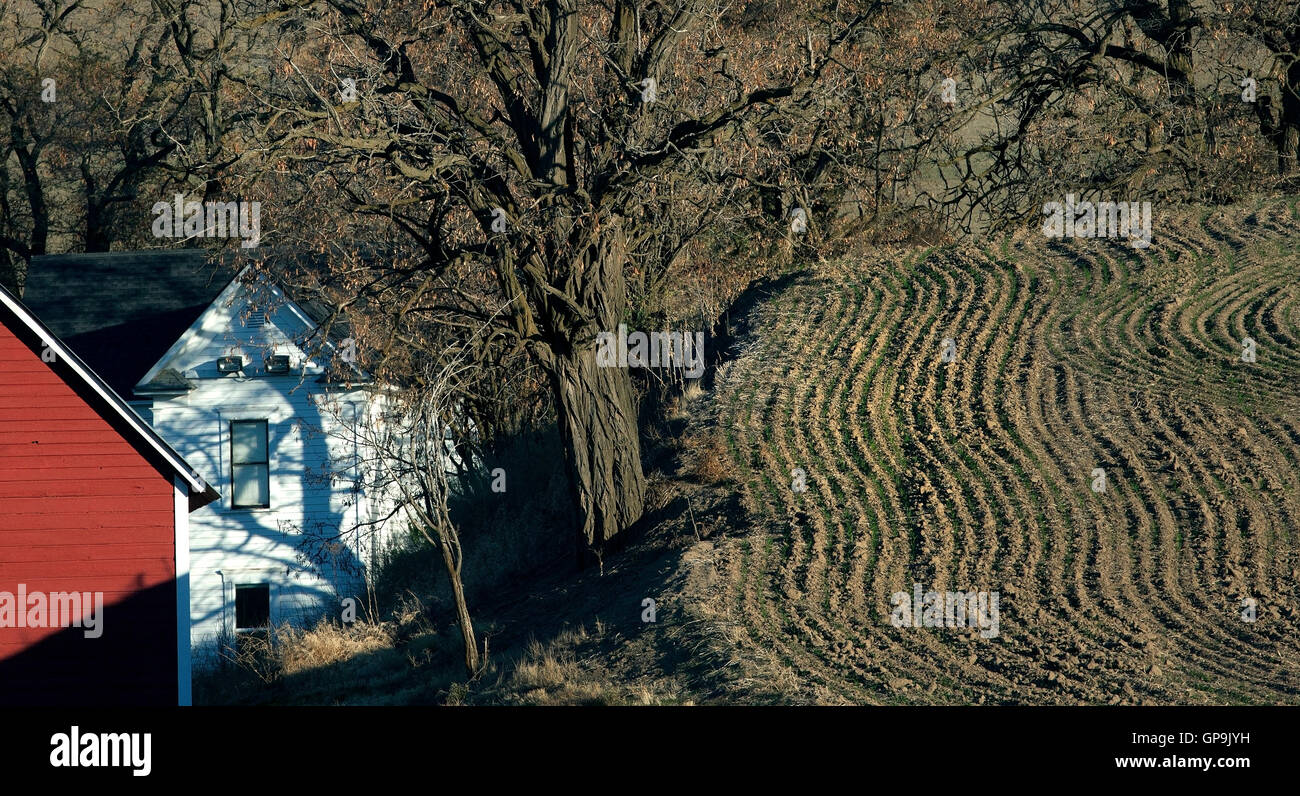 "Palouse" gepflügt, landwirtschaftliche Flächen, Bauernhaus, Scheune. Schatten an Gebäuden aus den umliegenden Laubbäume. Herbst. Stockfoto