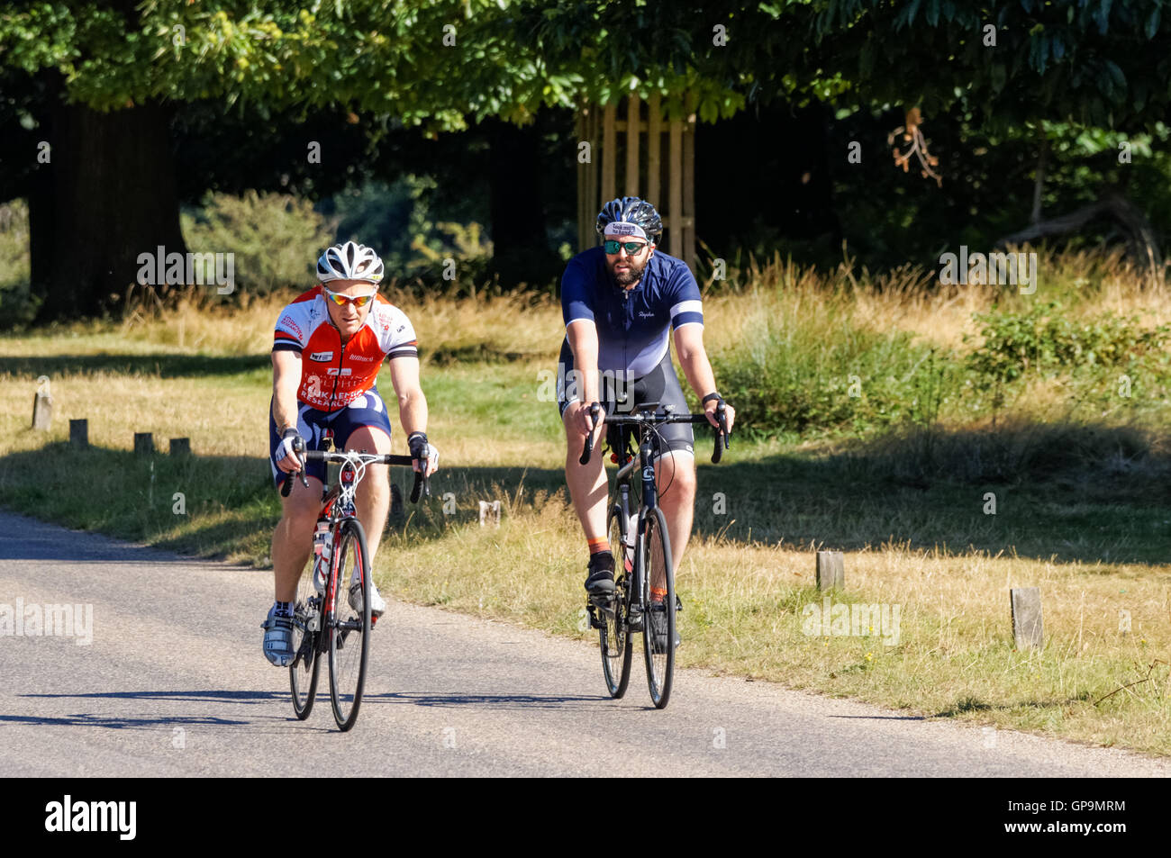 Radfahrer in Richmond Park auf Sawyers Hill, London England Vereinigtes Königreich UK Stockfoto