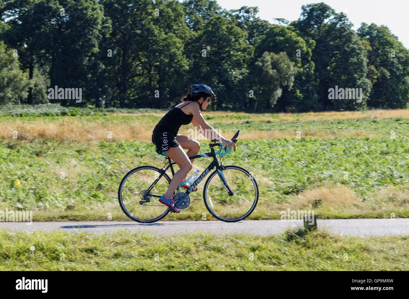 Radfahrer in Richmond Park auf Sawyers Hill, London England Vereinigtes Königreich UK Stockfoto
