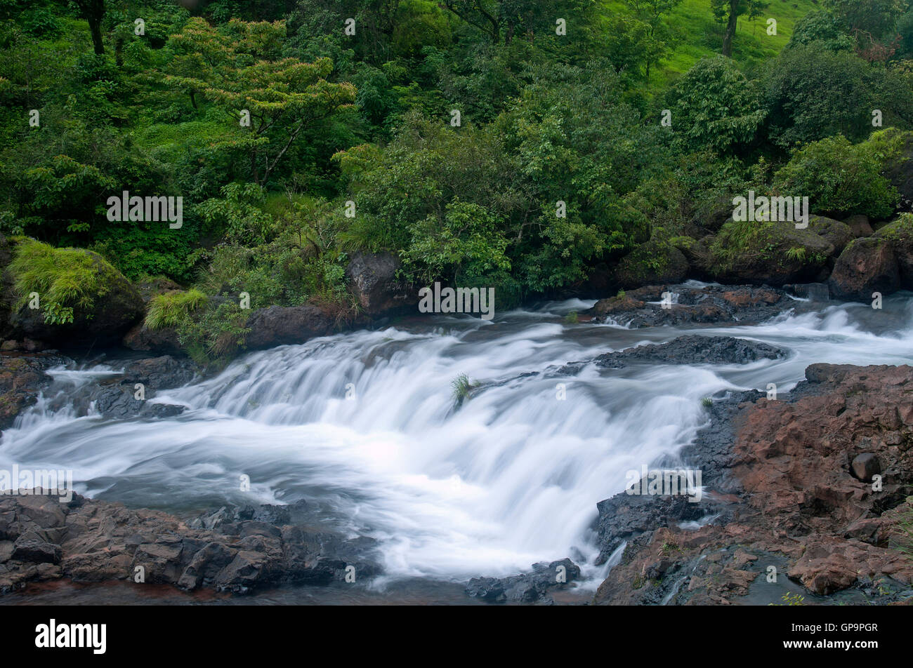 Das Bild des Streams in Satara, Maharashtra, Western Ghats, Monsun, Indien Stockfoto