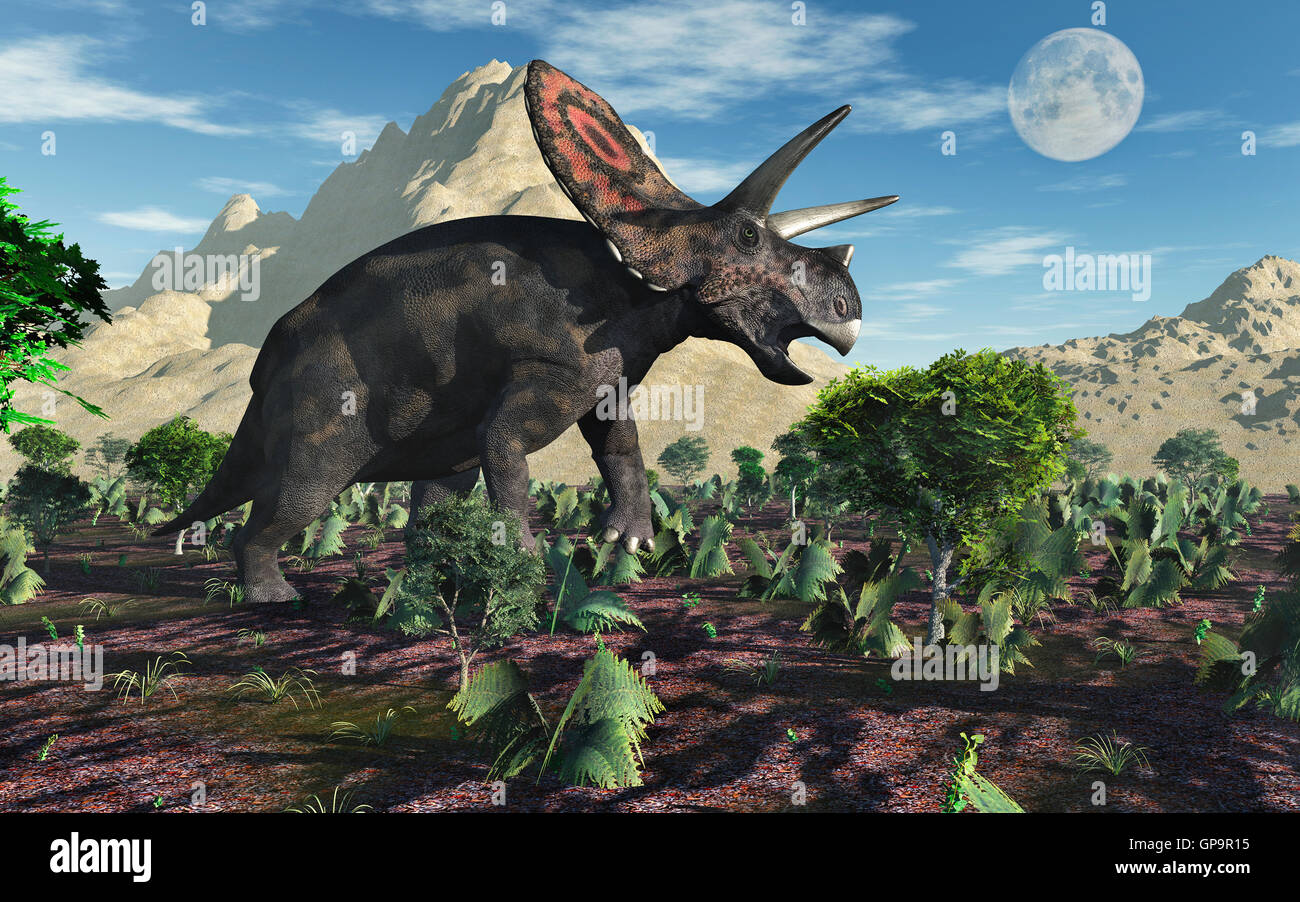 Torosaurus Herbivore Dinosaurier. Stockfoto