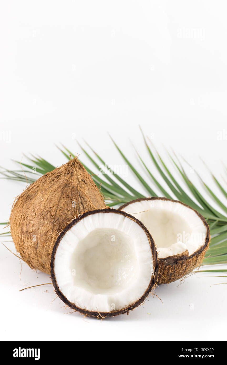 Offene und ganze Kokosnüsse und Palmblättern auf weiß Stockfoto