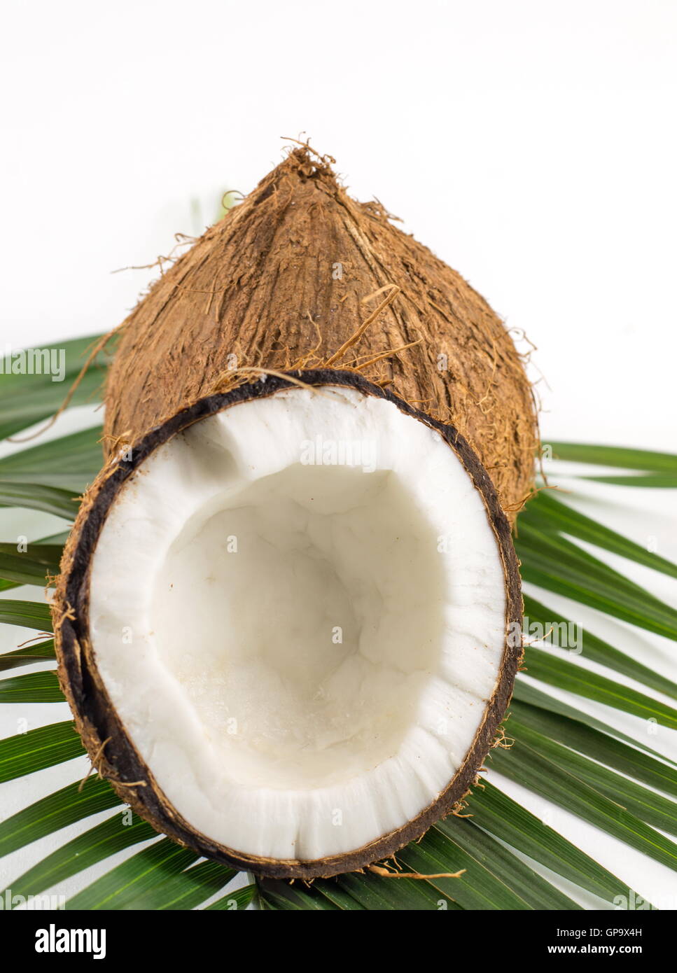 Frische Kokosnuss-Frucht auf weiß Stockfoto