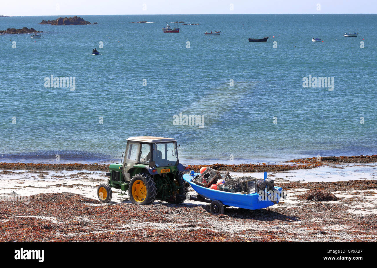 Traktor zieht ein kleines Fischerboot am Strand in Guernsey Stockfoto