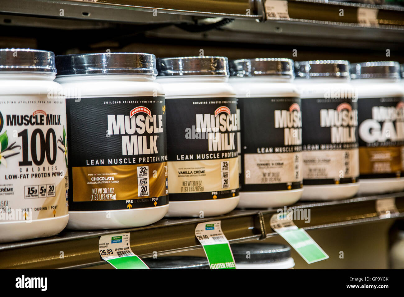 Kunststoffbehälter von Muscle Milk Marke Protein ergänzen Pulver aus dem Regal von einem Bioladen. Stockfoto