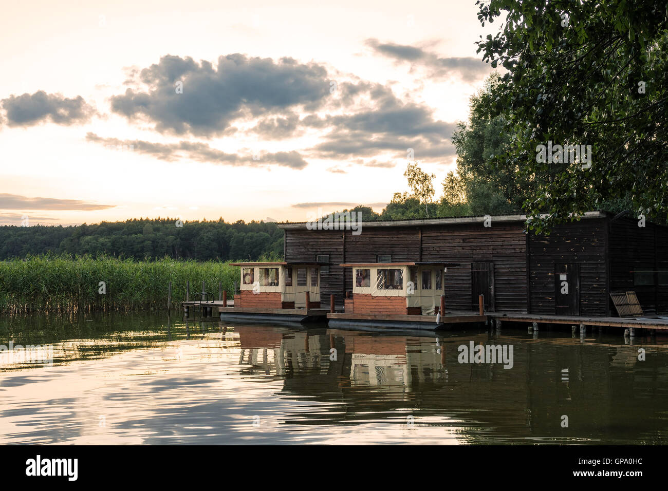 Landschaft auf einem See mit Bäumen und Schilf und boatshouse Stockfoto