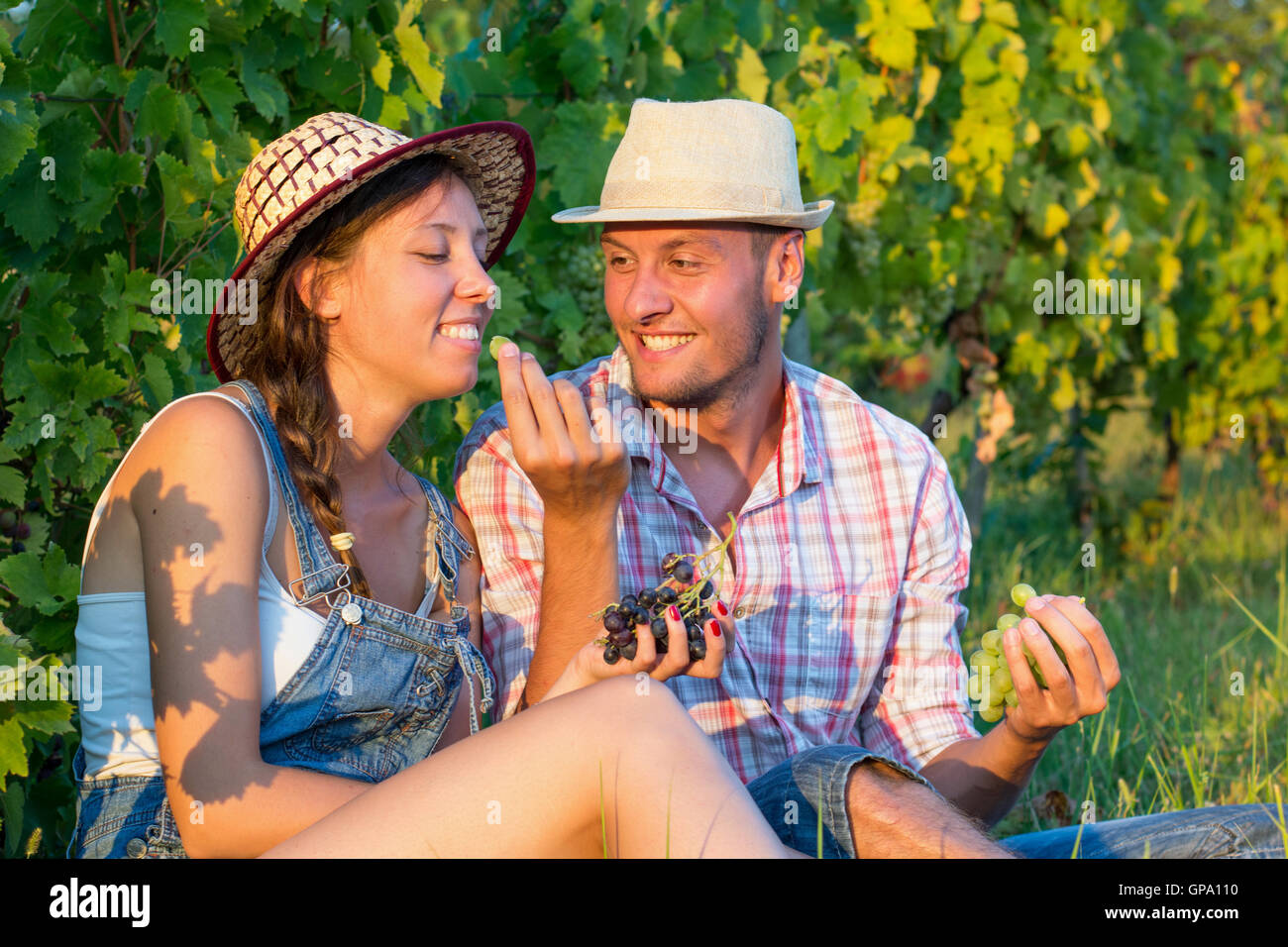 Glückliches Paar teilen frische Trauben im Weinberg Stockfoto