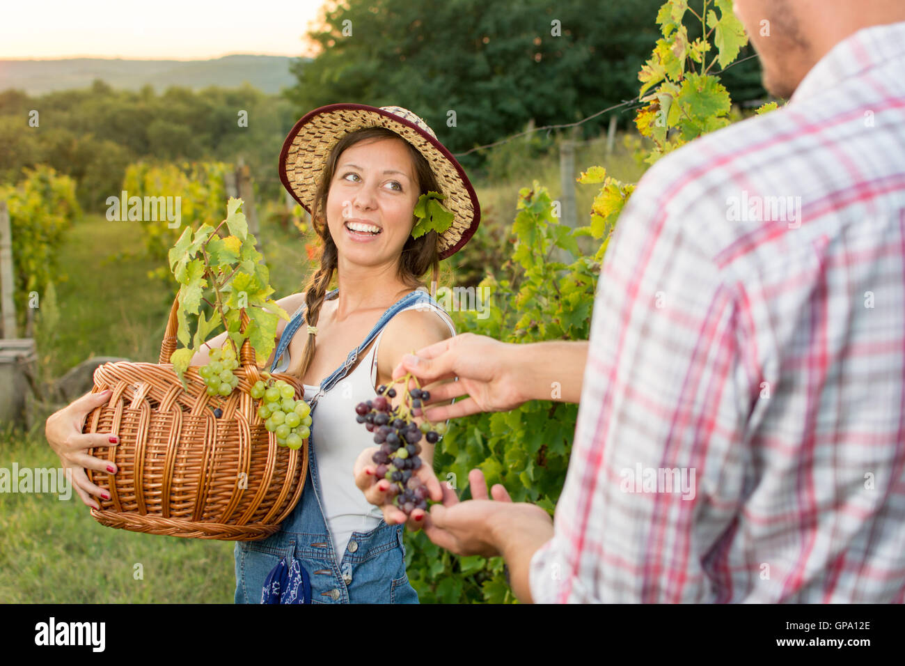 Paar in der Weinlese am Weinberg mit einem Weidenkorb Stockfoto