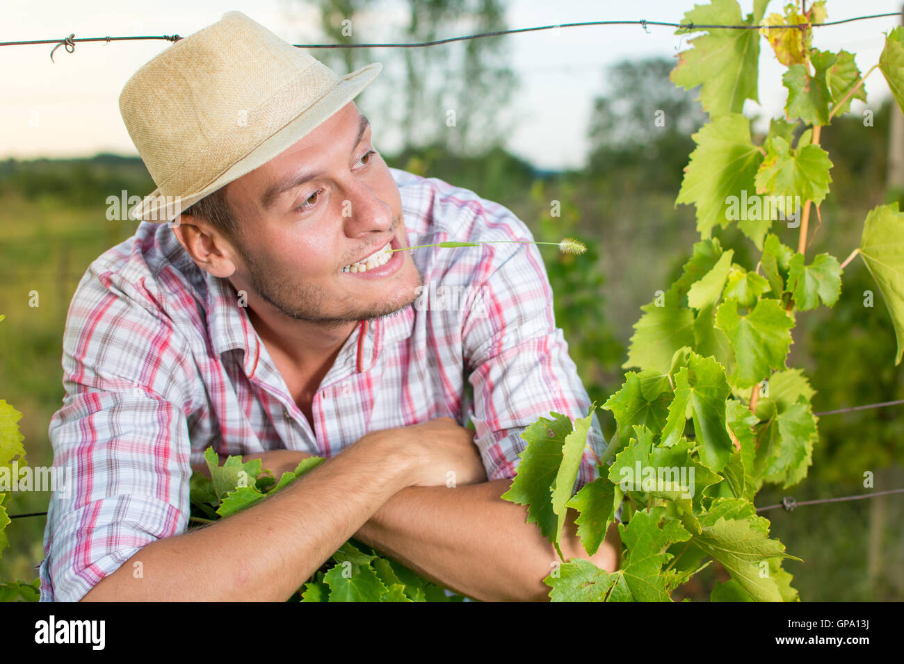 Glückliche junge Farrm Besitzer auf dem Weingut Stockfoto