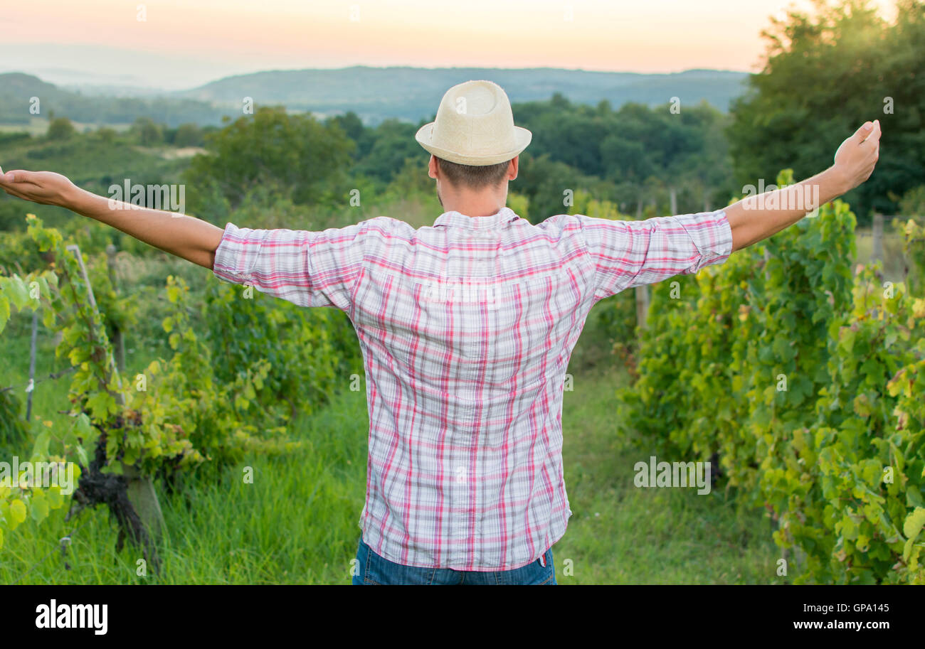 Glücklich genießen in der Trauben Reihen Bauer Stockfoto