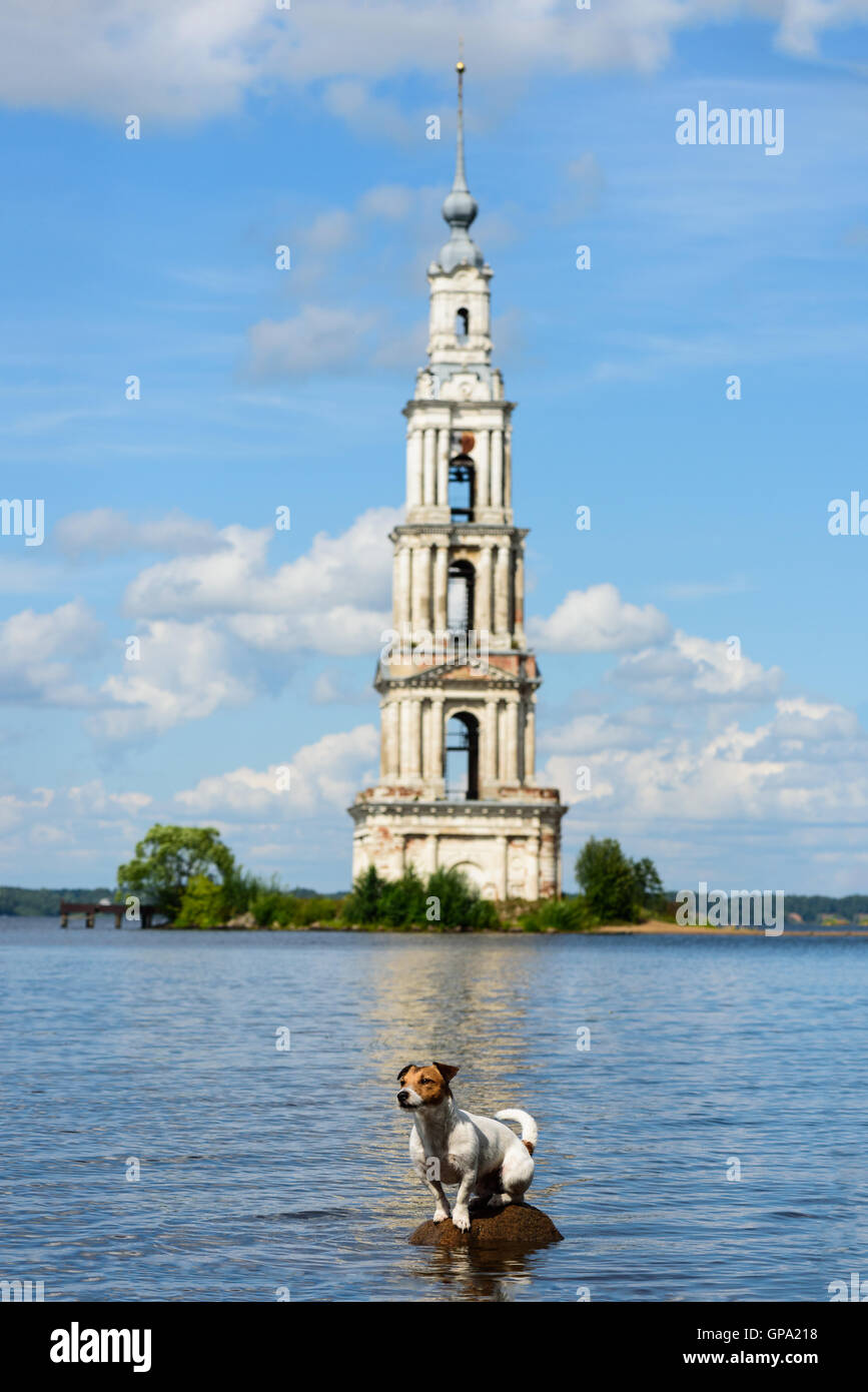 Kaljasiner überflutet Belfried und Hund auf winzigen Insel an der Wolga Stockfoto