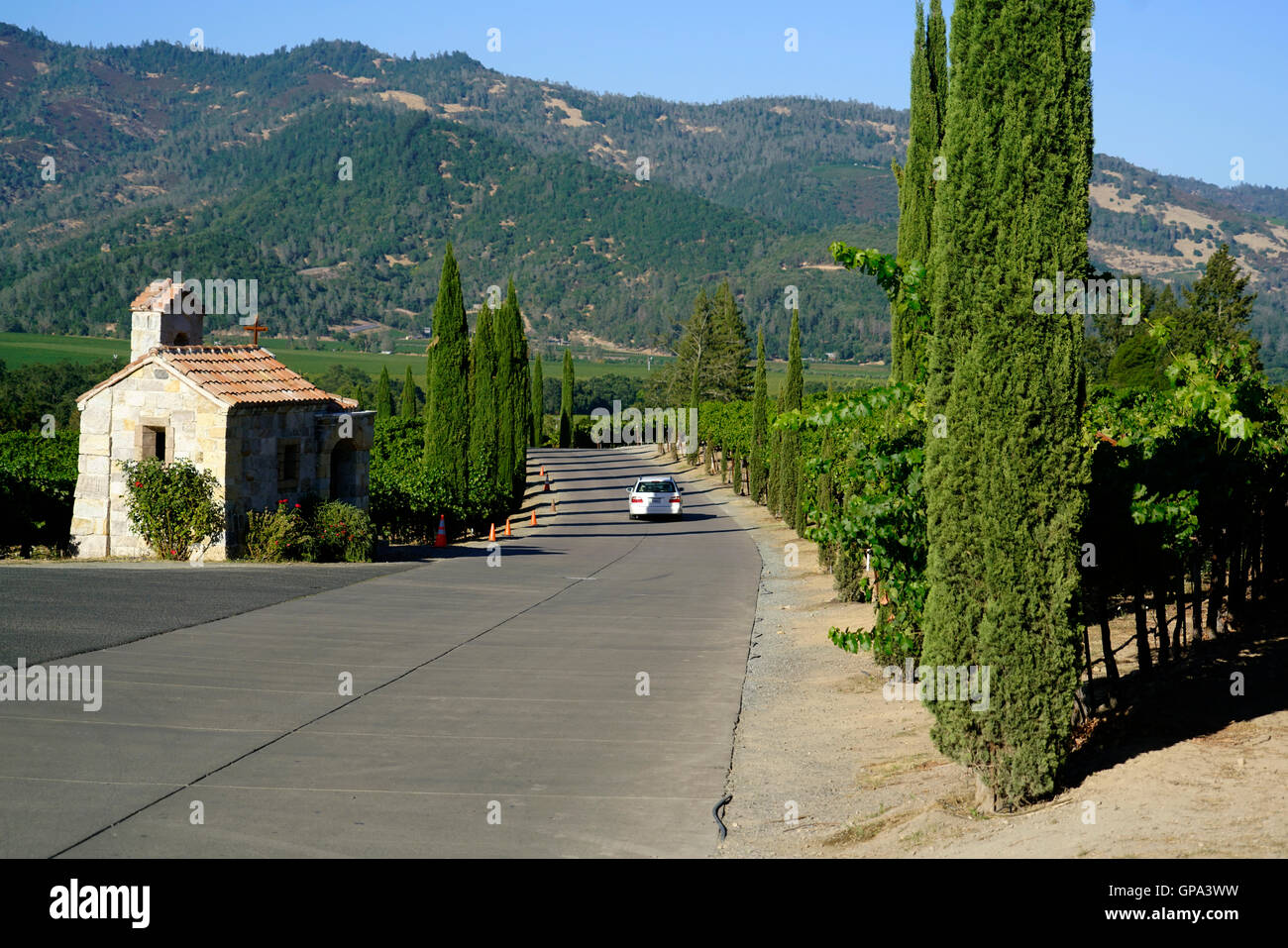 Kleine steinerne Kapelle und Weingut Castello di Amorosa Winery.Calistoga,Napa Valley.California,USA Stockfoto