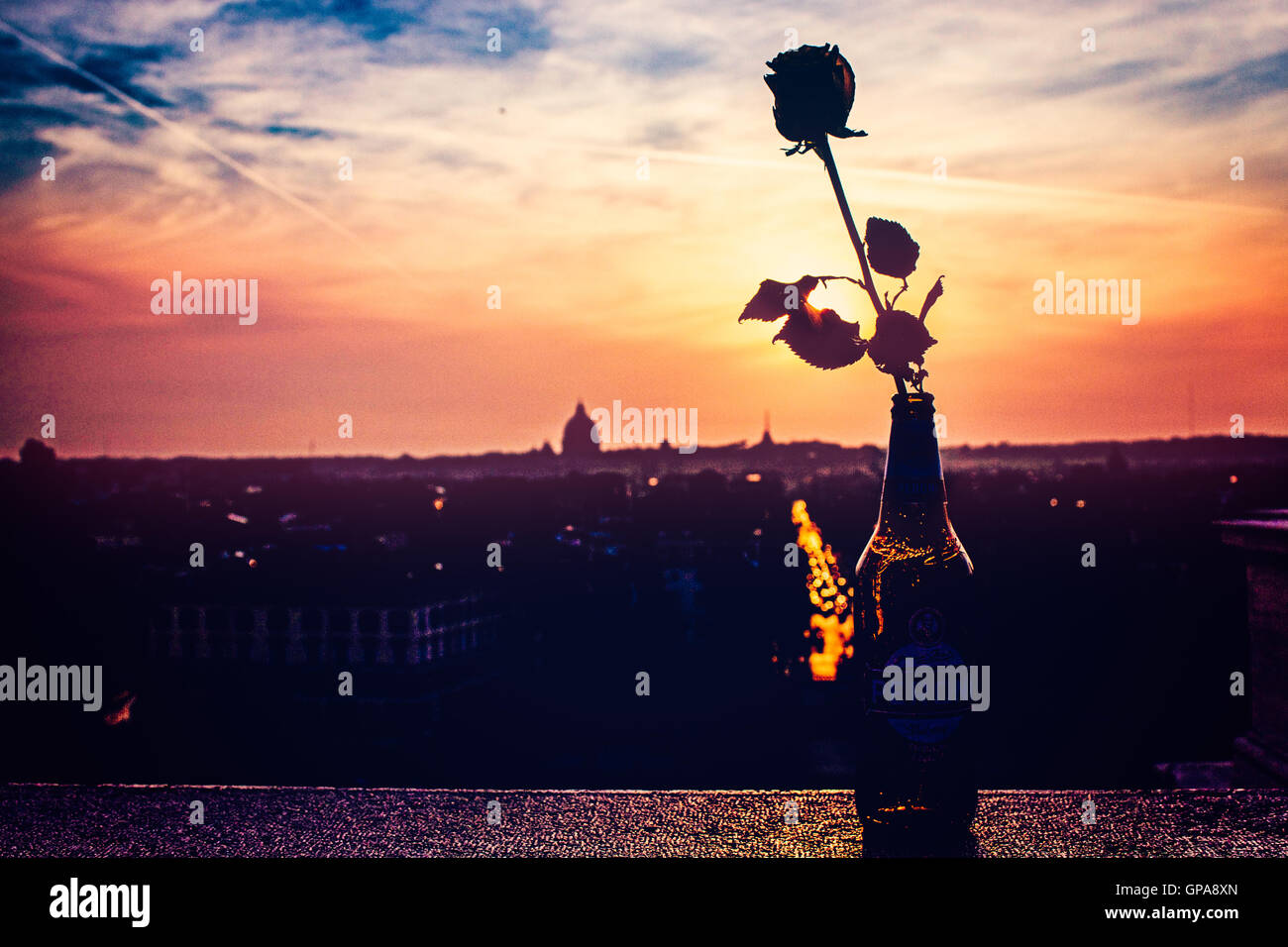 Rose-Silhouette in Rom Stockfoto