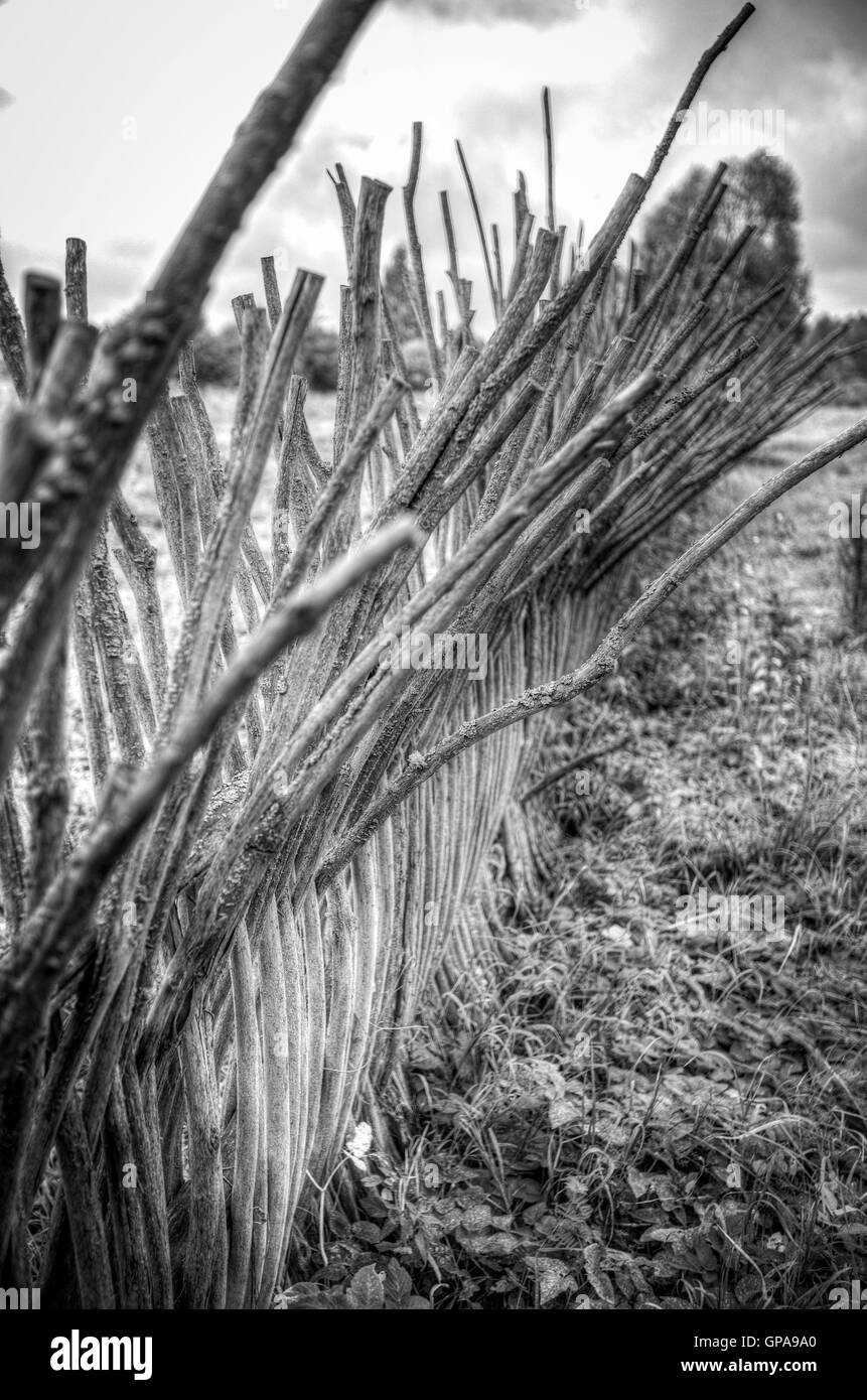 monochrom schwarz / weiß Infrarotfotografie Haus im Wald. Stockfoto