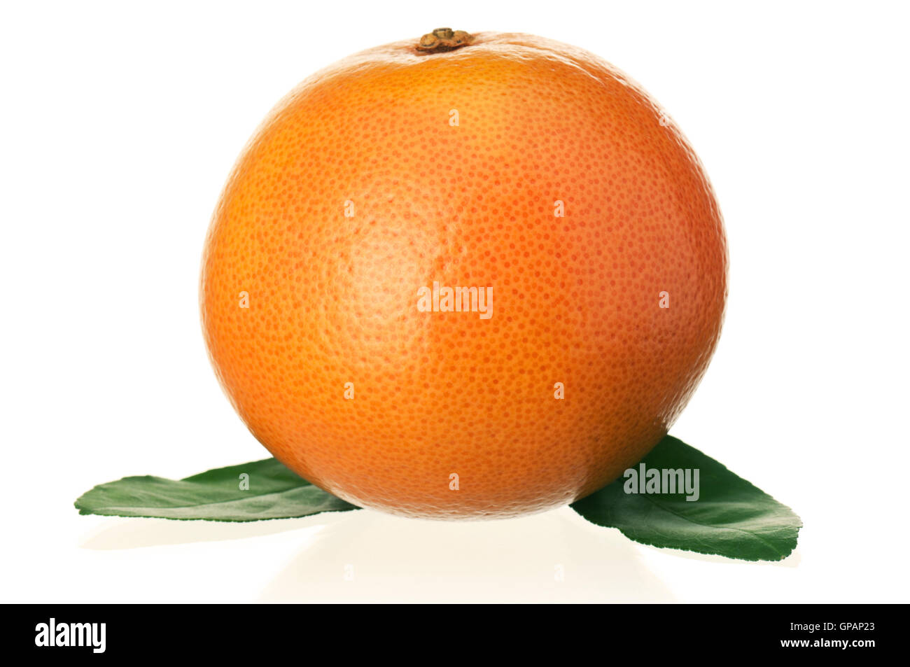 Reife grapefruit Stockfoto
