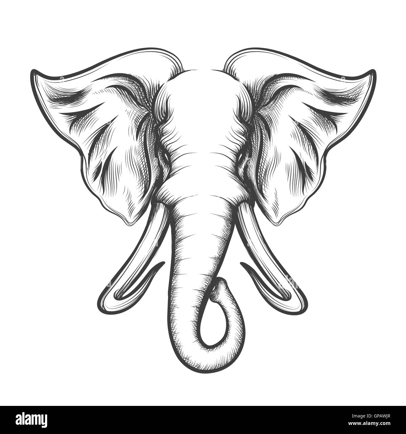 Elefantenkopf im Retrostil Gravur isoliert auf weißem Hintergrund gezeichnet. Vektor-Illustration. Stock Vektor