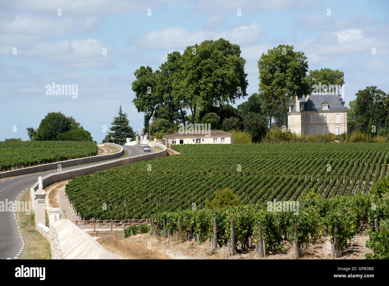 Pauillac Weinregion Frankreich - August 2016 - Reben und Weinberge in Pauillac einen Wein produzierenden Bereich der Bordeaux-Region Frankreich Stockfoto