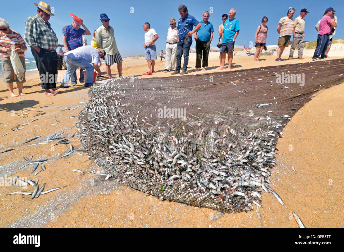 Portugal: Leute beobachten traditionellen Netzfischerei am Strand von Mira Stockfoto