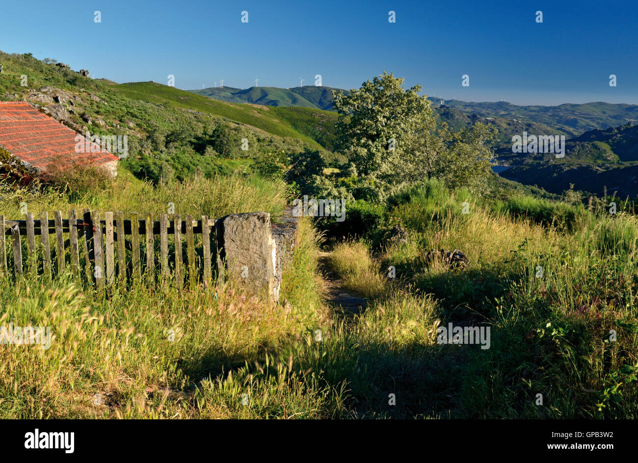 Portugal: grüne Berge und alten Bauernhof in einem ländlichen Pfad im Bergdorf Pitoes Das Junias Stockfoto