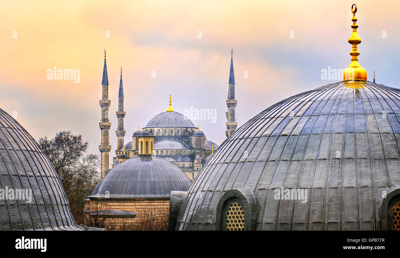 Kuppeln der blauen Moschee in Istanbul am Sonnenuntergang Stockfoto