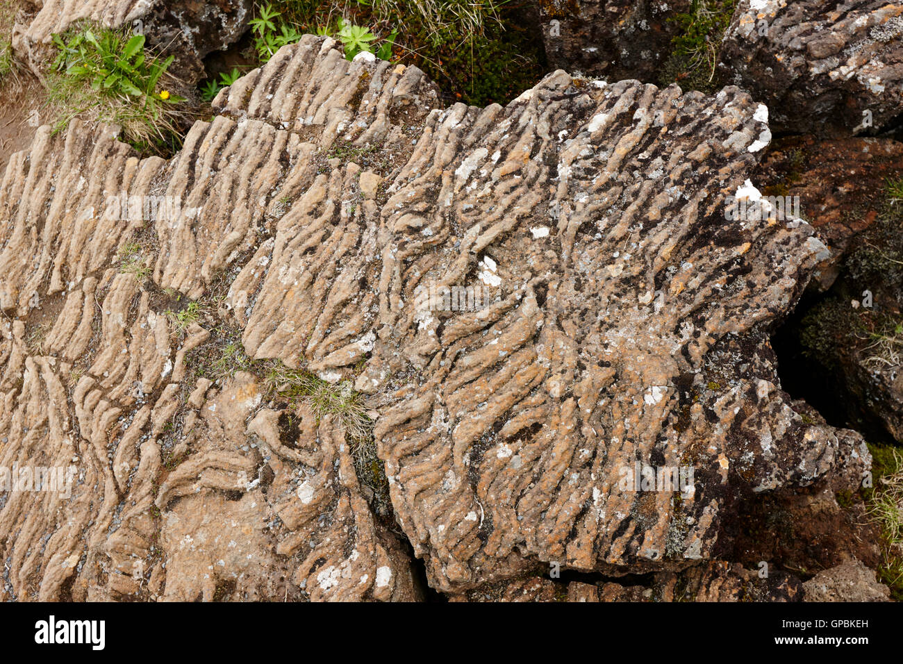 Seil Eruptivgestein Formationen aus abgekühlte Lava Thingvellir, Island Stockfoto