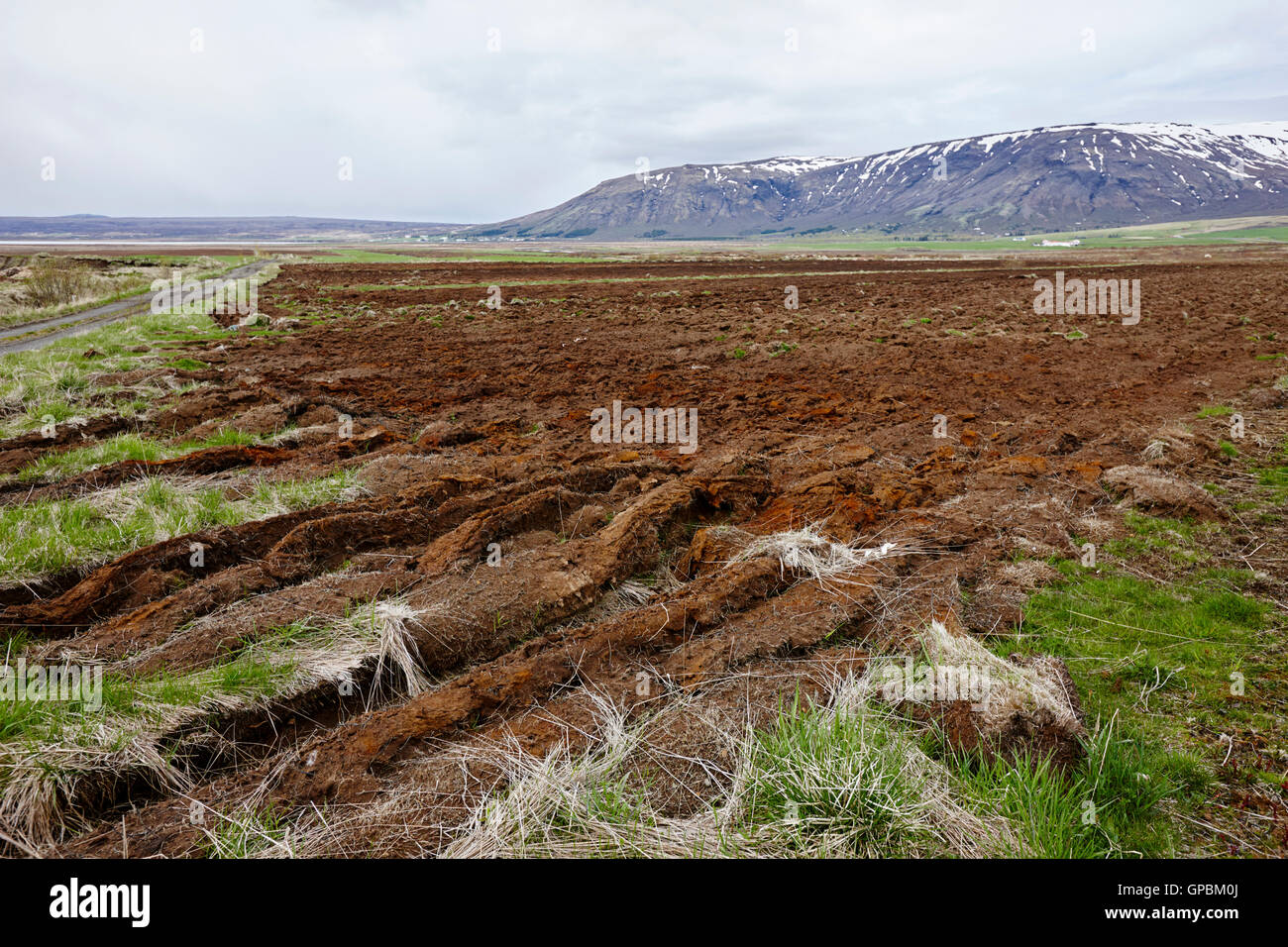 Acker in landwirtschaftlichen Anbauflächen Island Stockfoto