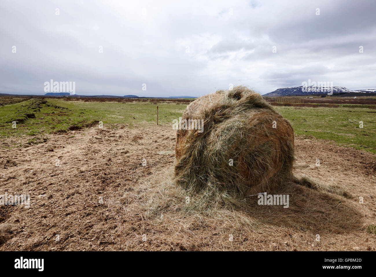 Heuballen gerollt in einem Feld in Island Stockfoto