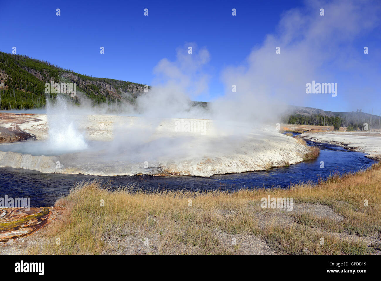 Geothermische Aktivität im Yellowstone-Nationalpark, Wyoming, USA Stockfoto