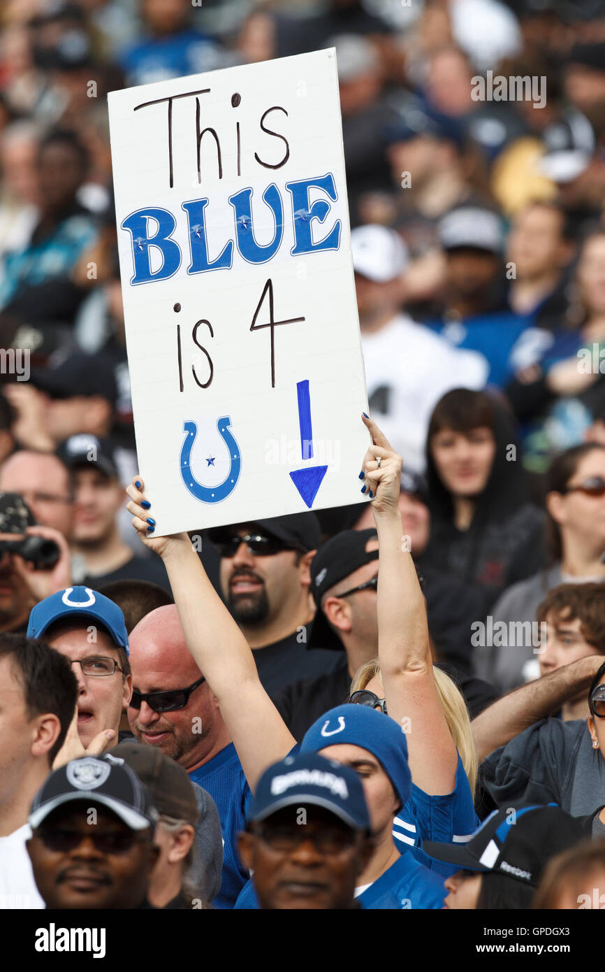 Dezember 26, 2010; Oakland, Ca, USA; ein Indianapolis Colts fan hält ein Schild im dritten Quartal gegen die Oakland Raiders bei Oakland-Alameda County Coliseum. indianapolis Oakland 31-26 besiegt. Stockfoto