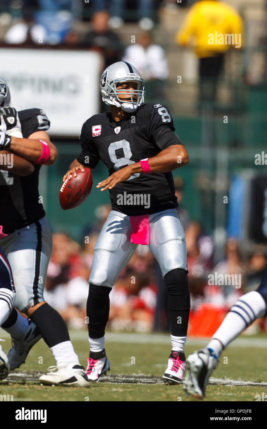 2. Oktober 2011; Oakland, Kalifornien, USA; Oakland Raiders quarterback Jason Campbell (8) steht in der Tasche gegen die New England Patriots im ersten Quartal O.co Coliseum. Stockfoto