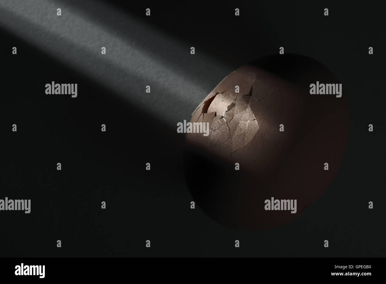 Braune gebrochen Ei auf grauem Hintergrund Stockfoto