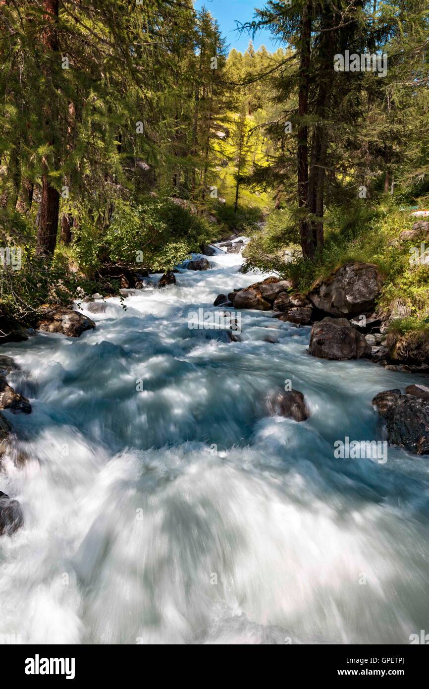 Landschaftlich reizvolle alpine Waldlandschaft mit einem malerischen schnell fließenden Gebirgsbach mit Wildwasser-Rafting in Val D'Ayas, Italien Stockfoto